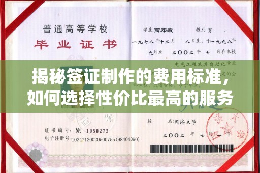 武功揭秘签证制作的费用标准，如何选择性价比最高的服务？